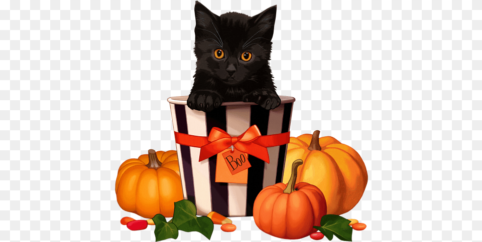 Halloween Time Life And Linda Happy Halloween Cat Animated, Food, Plant, Produce, Pumpkin Free Png Download