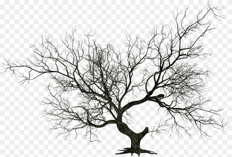 Halloween Tree Image Silhouette Dead Tree, Plant, Tree Trunk, Art, Drawing Png