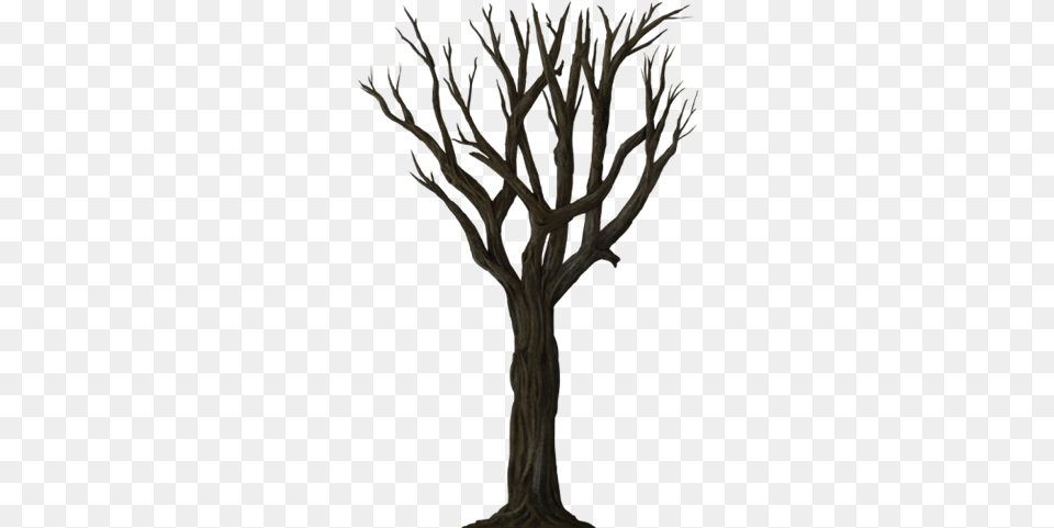 Halloween Trees Picture Wallpaper, Plant, Tree, Wood Free Transparent Png