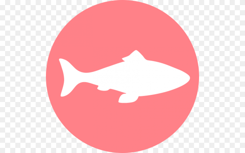 Halo Uses Only Real Whole Meat Poultry Or Fish And Fish Meat Amp Poultry Icon, Animal, Sea Life Png Image
