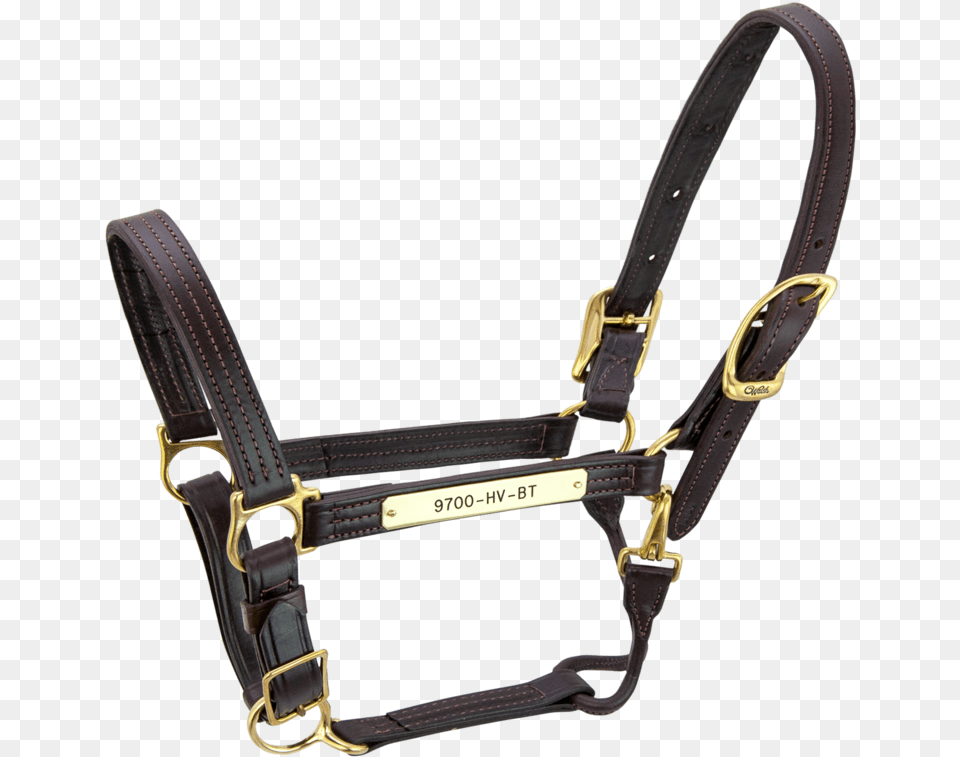 Halter, Accessories, Bag, Handbag, Harness Free Transparent Png