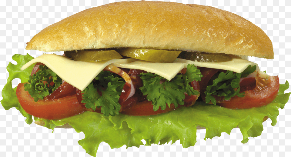 Hamburger Burger Image Vegetable Hamburger Free Png Download