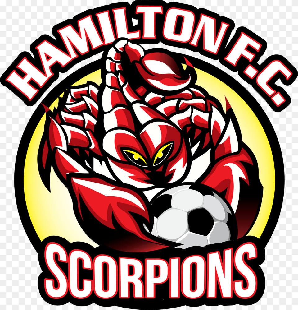 Hamilton Scorpions, Advertisement, Poster, Dynamite, Weapon Free Png