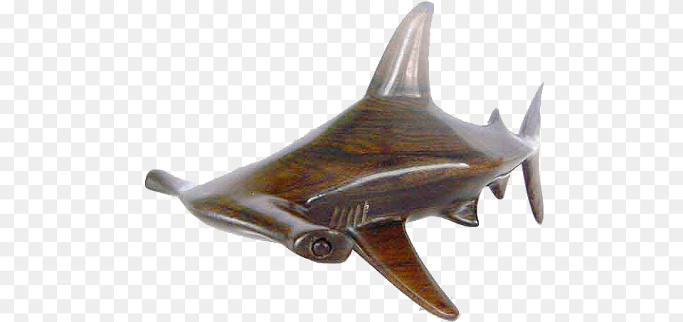 Hammer Shark M Hammer Shark, Animal, Sea Life, Fish Png Image