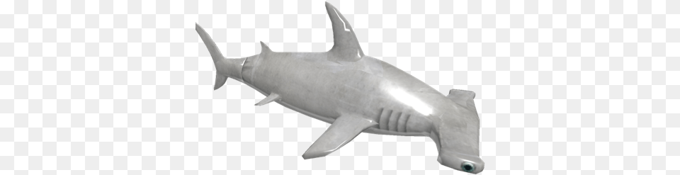 Hammerhead Roblox Shark Bite Sharks, Animal, Fish, Sea Life Free Png