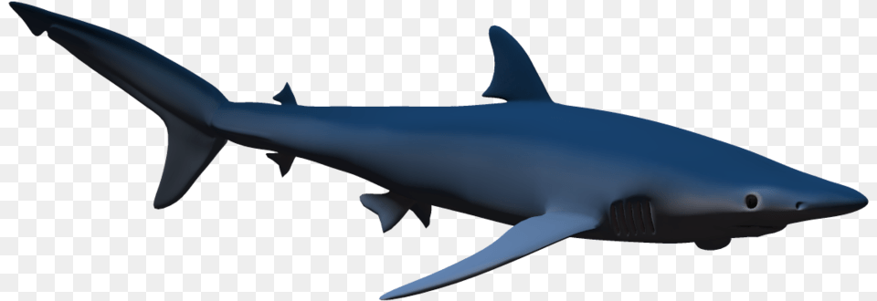 Hammerhead Shark Clip Art 3d Shark, Animal, Fish, Sea Life, Great White Shark Png Image