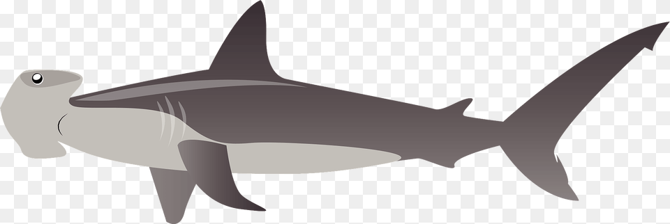 Hammerhead Shark Clipart, Animal, Sea Life, Fish Png Image