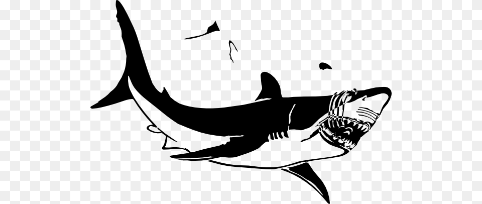 Hammerhead Shark Clipart, Animal, Fish, Sea Life Free Transparent Png