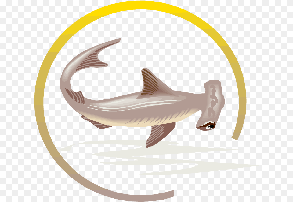 Hammerhead Shark Clipart Dead Shark Shark, Animal, Sea Life, Fish Png
