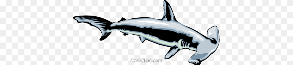 Hammerhead Shark Clipart Group With Items, Animal, Sea Life, Fish Free Png