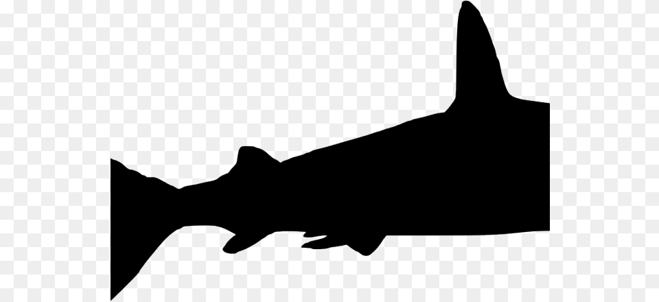 Hammerhead Shark Clipart Sharks And Minnow Shark, Animal, Sea Life, Fish, Bow Free Transparent Png