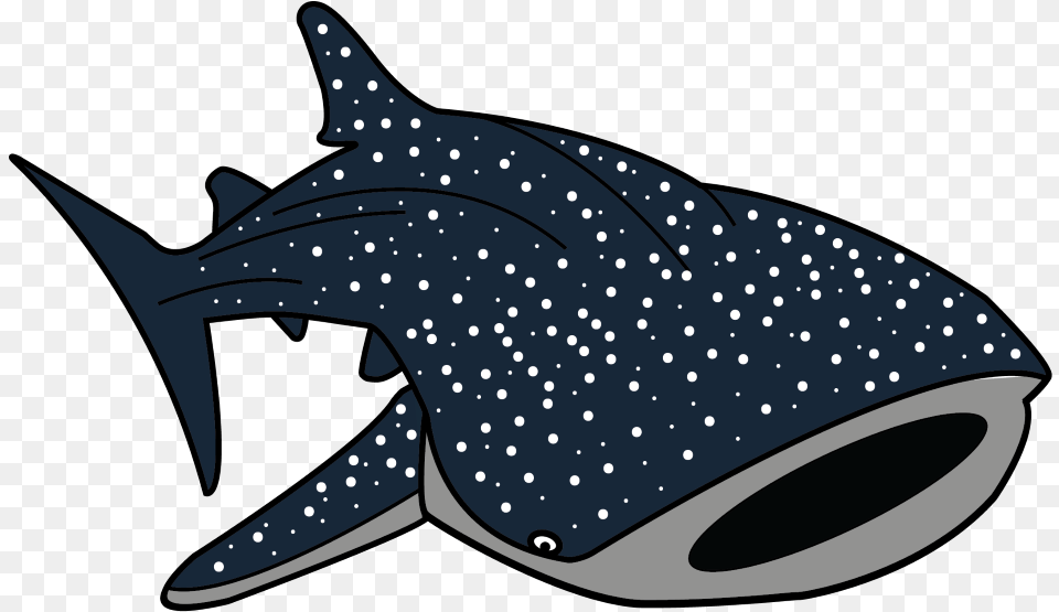 Hammerhead Shark Clipart Whale Shark Whale Shark Transparent Background, Animal, Fish, Sea Life, Mammal Png