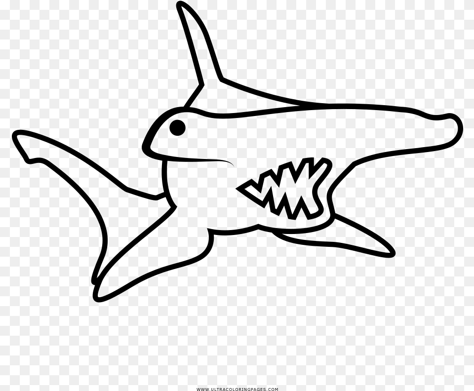 Hammerhead Shark Coloring, Gray Free Transparent Png
