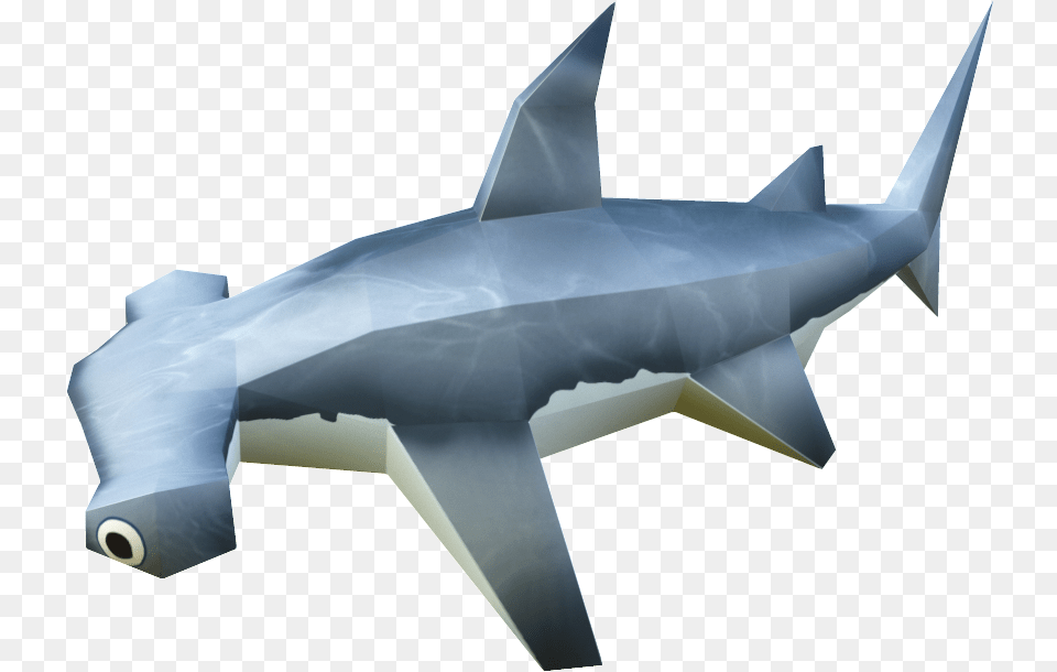 Hammerhead Shark Requiem Shark, Animal, Fish, Sea Life, Aircraft Png Image