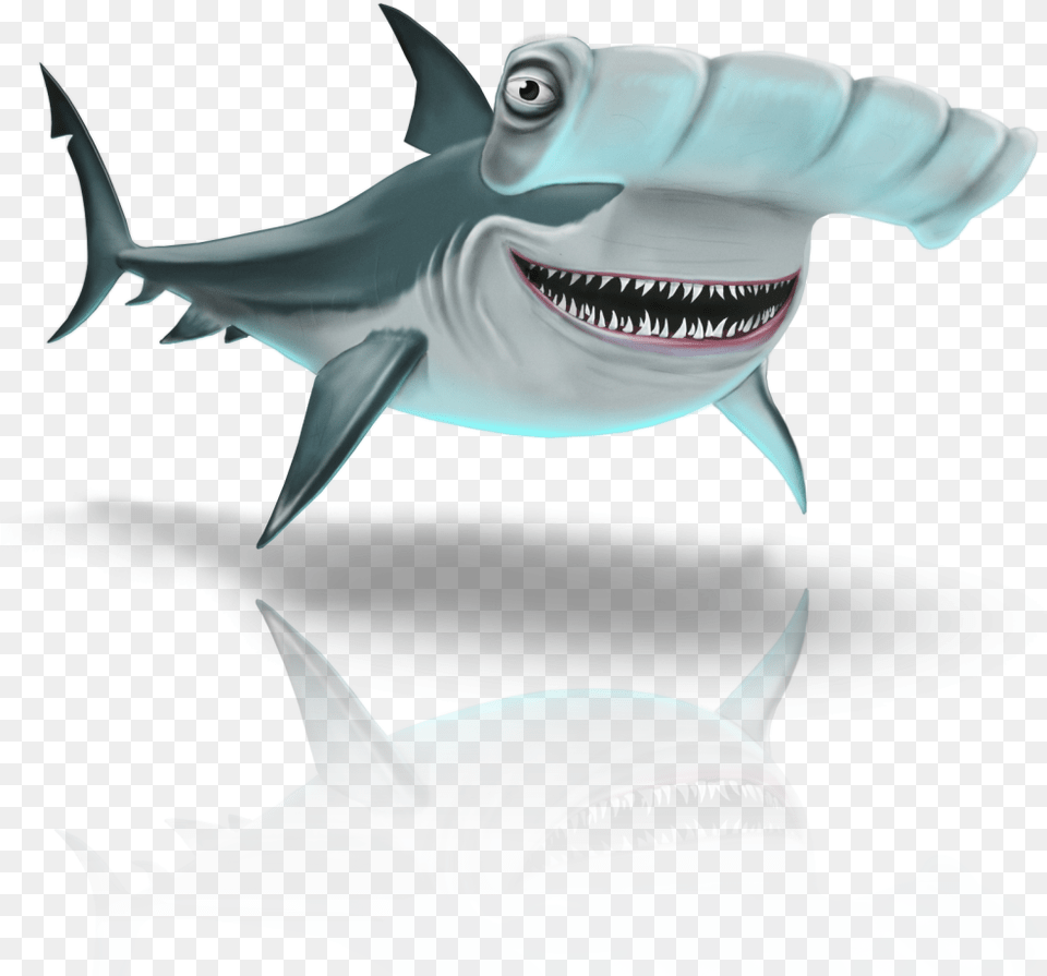 Hammerhead Shark Survival Character Hammerhead With Eyes In Front, Animal, Sea Life, Fish Free Png