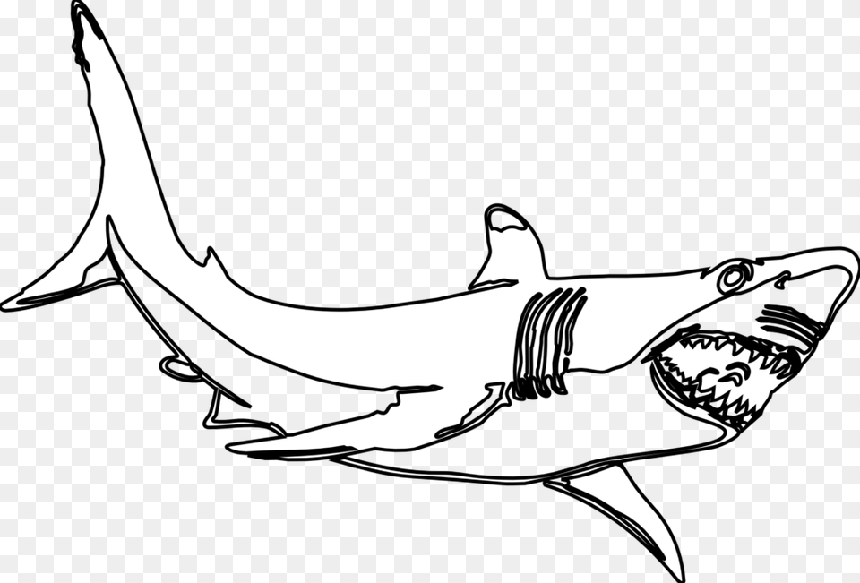 Hammerhead Shark Template Download Clip Art, Animal, Sea Life, Fish, Adult Free Png
