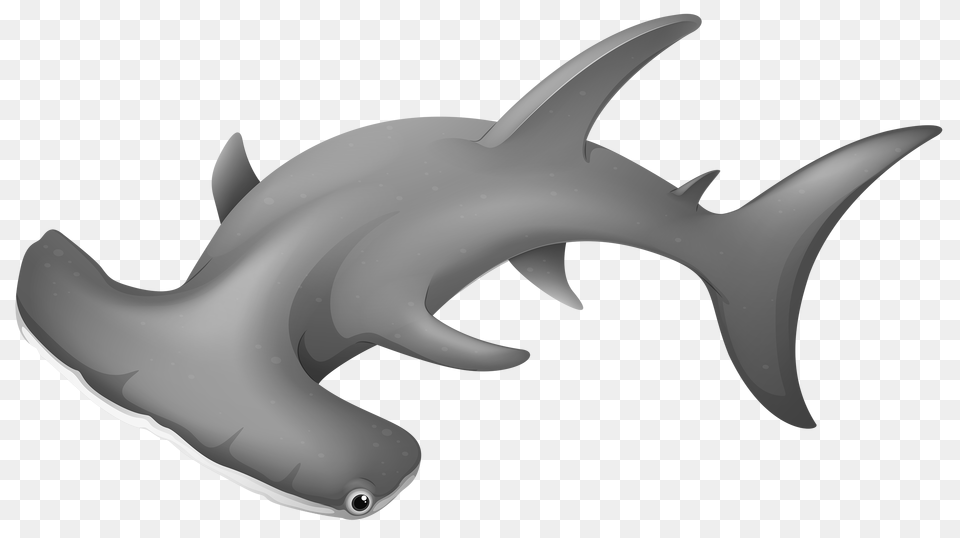 Hammerheadshark Clipart, Animal, Fish, Sea Life, Shark Free Png