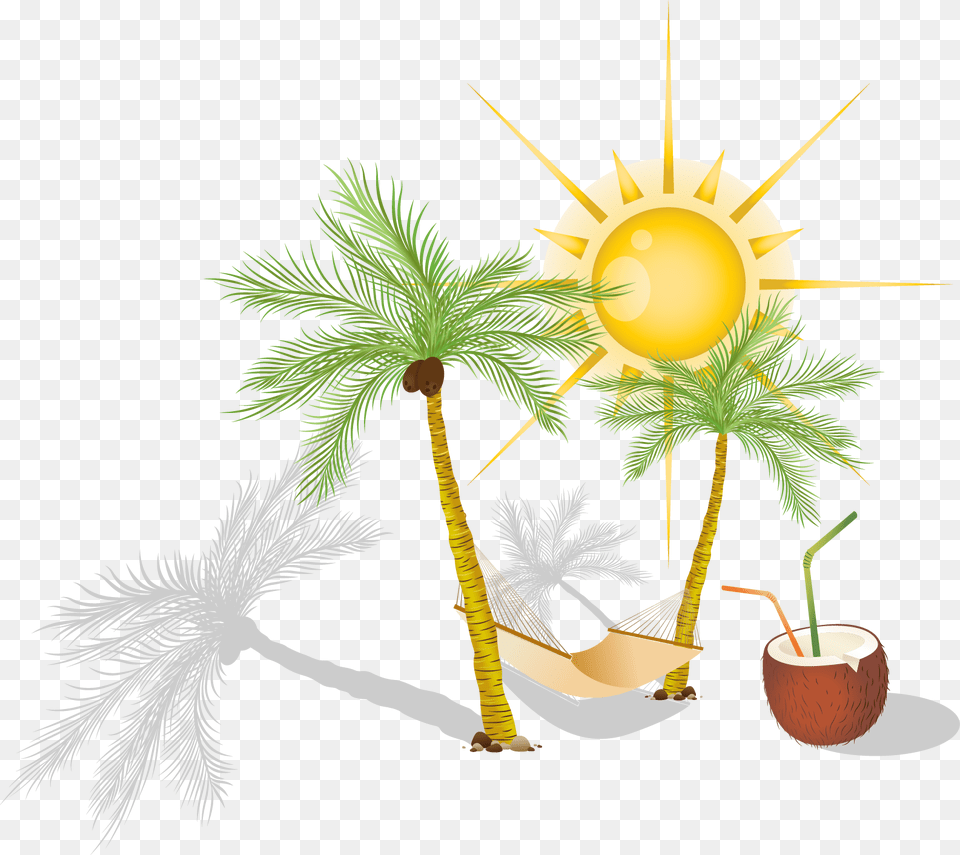 Hammock Arecaceae Clip Art, Tree, Summer, Produce, Plant Png Image