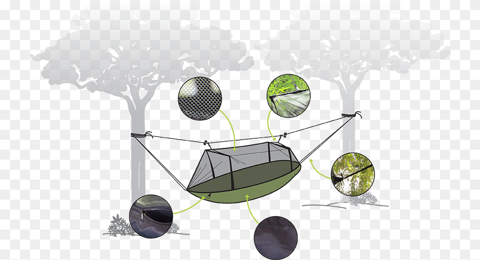 Hammock Infographic Broad Leaved Tree, Sphere, Person, Furniture, Outdoors Free Png Download