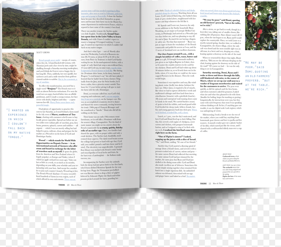 Hampt Mocks Free Png