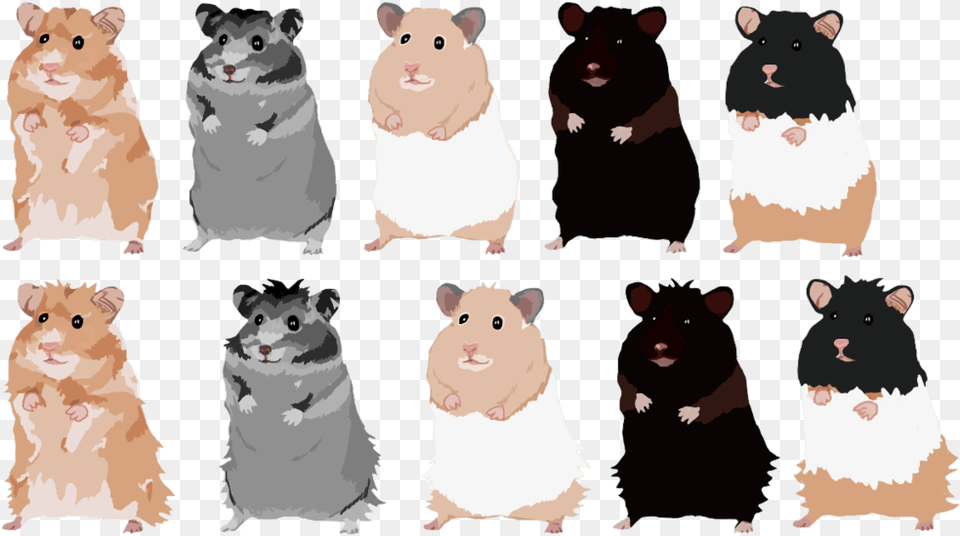 Hamster, Animal, Rodent, Mammal, Lion Free Transparent Png