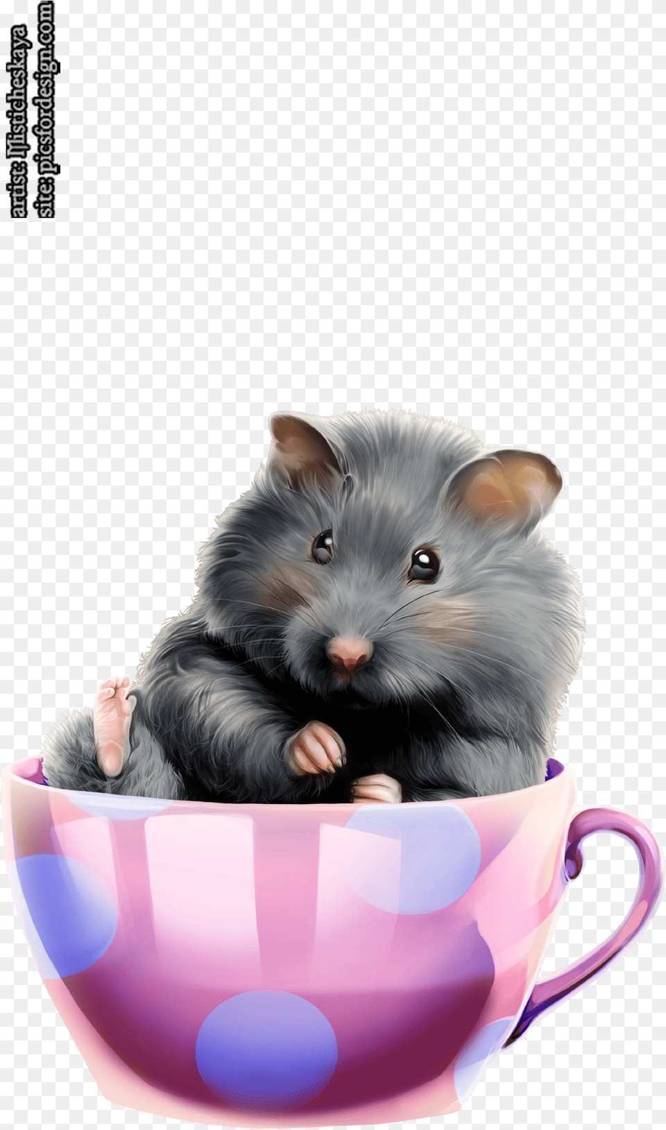 Hamster 8 U2014 Imgbb, Animal, Mammal, Rat, Rodent Png Image