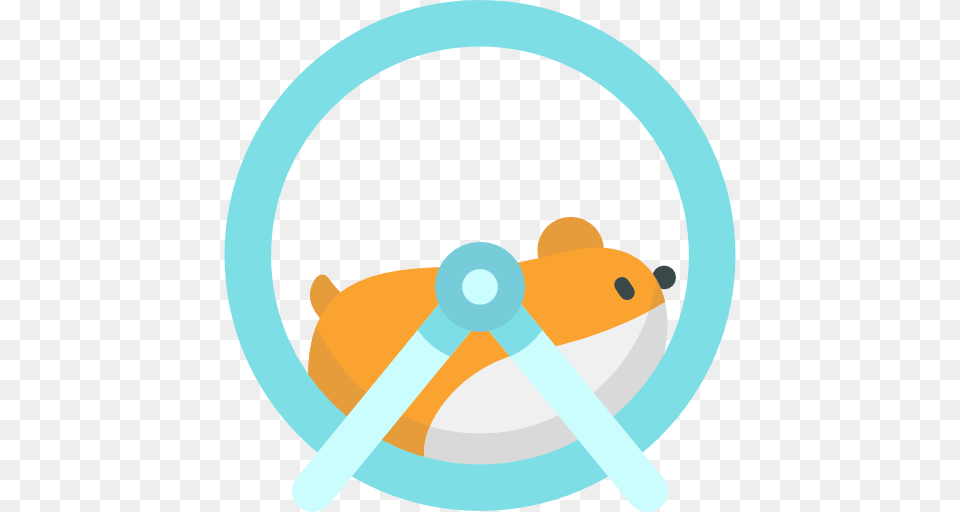 Hamster Ball, Animal, Bear, Mammal, Wildlife Png