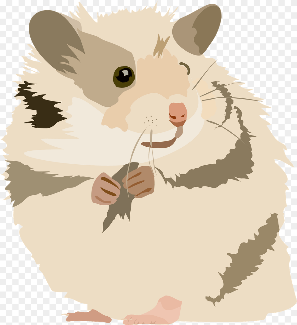 Hamster Clipart, Animal, Mammal, Rodent, Pet Png