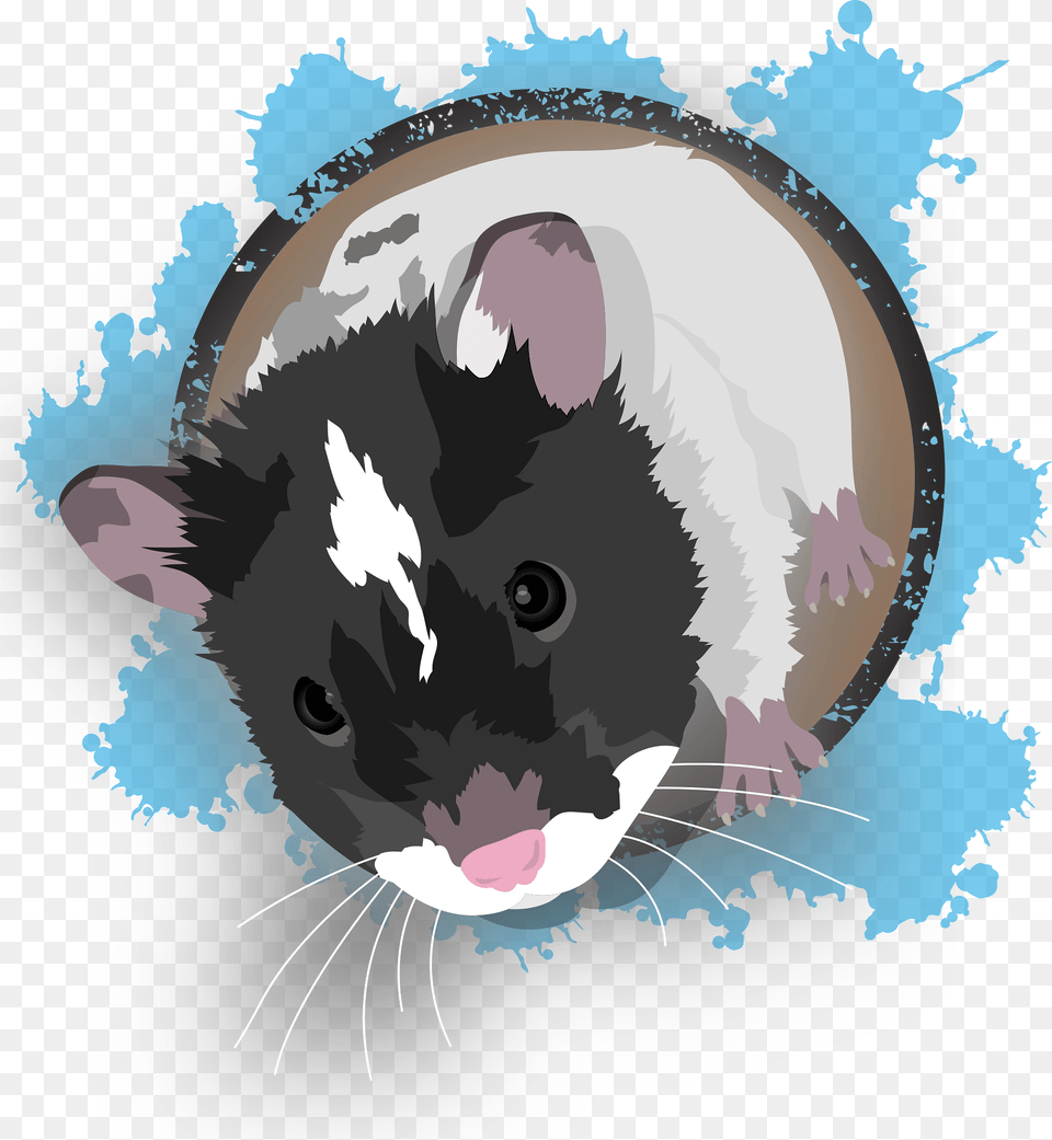 Hamster Clipart, Animal, Mammal, Rodent, Rat Free Png