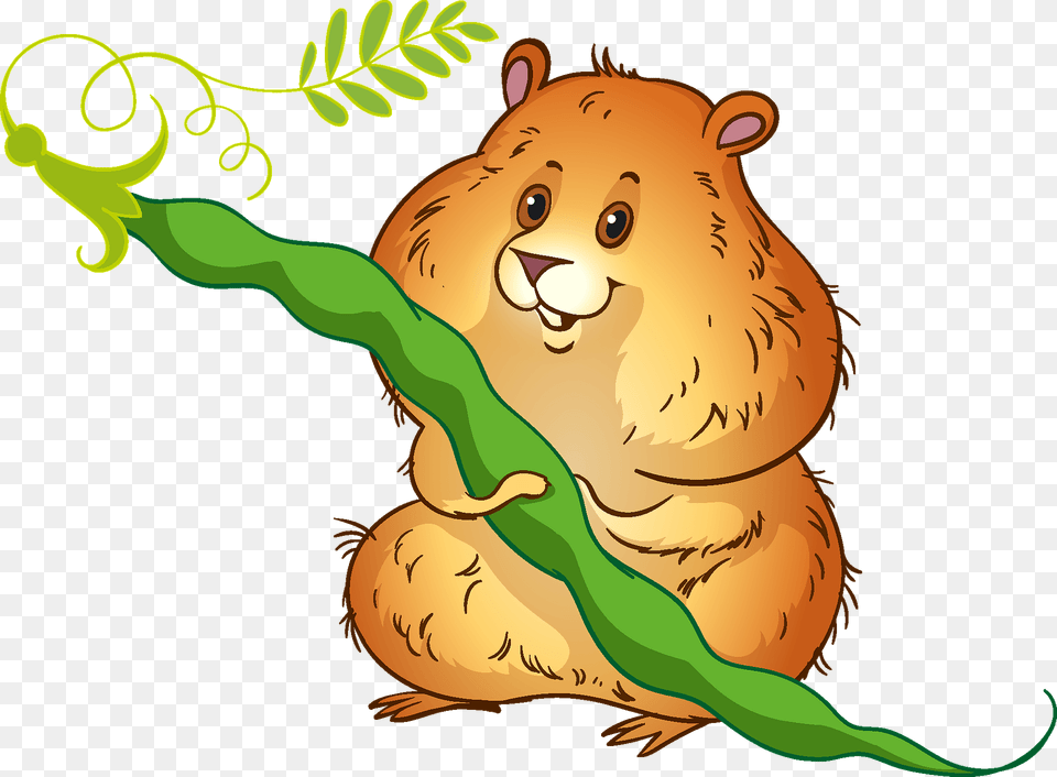 Hamster Clipart, Animal, Mammal, Rodent, Wildlife Free Png