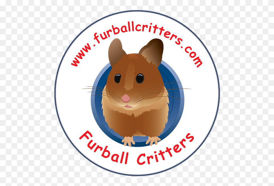 Hamster Clipart Furry Animal, Mammal, Rodent, Pet, Cat Png Image