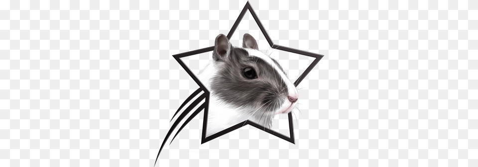 Hamster Clipart Gerbil, Animal, Mammal, Rat, Rodent Png Image