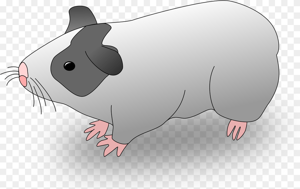 Hamster Clipart Guinea Pig, Animal, Mammal, Fish, Sea Life Free Transparent Png