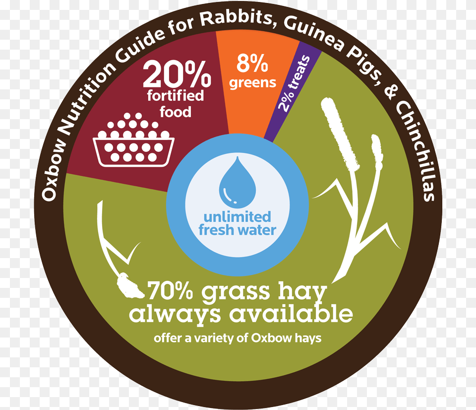 Hamster Clipart Guinea Pig Oxbow Rabbit Feeding Guide, Advertisement, Poster, Disk Free Transparent Png