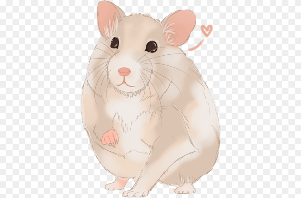 Hamster Clipart Syrian, Animal, Baby, Mammal, Person Free Png Download
