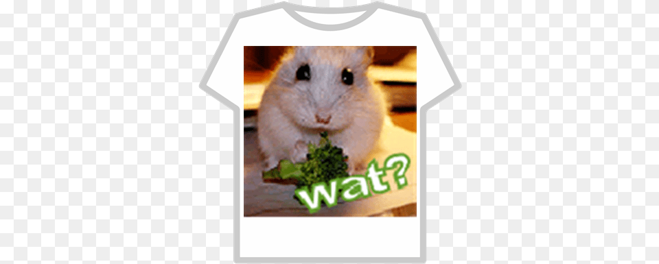 Hamster Roblox Spider Man Infinity War T Shirt, Animal, Mammal, Rat, Rodent Png Image