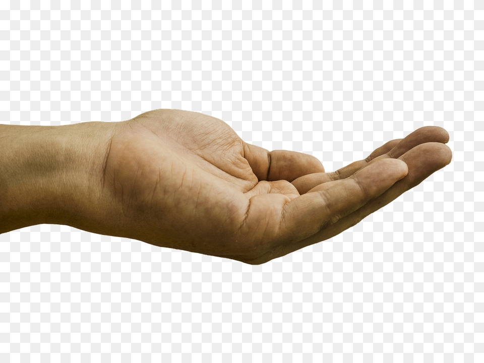Hand Body Part, Finger, Person, Wrist Png Image