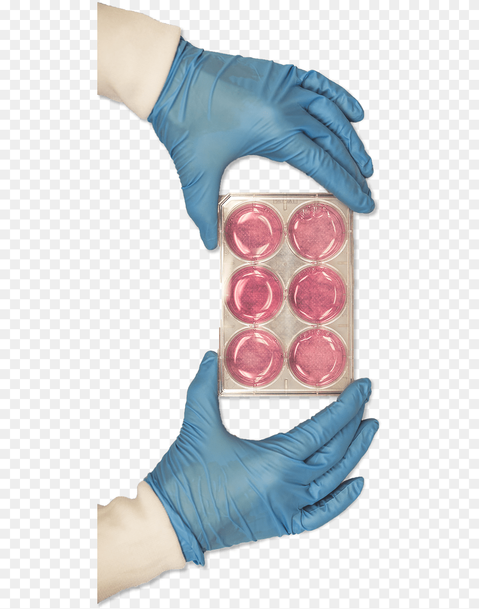 Hand And Dishes Medical Glove, Clothing, Person Png Image