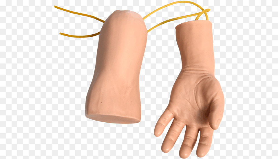 Hand And Elbow Combined Intravenous Transfusion Training, Body Part, Finger, Person Png