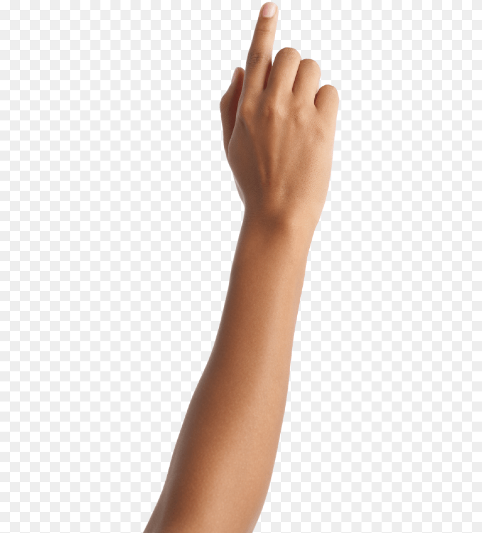 Hand Arm, Body Part, Person, Wrist, Adult Free Png Download