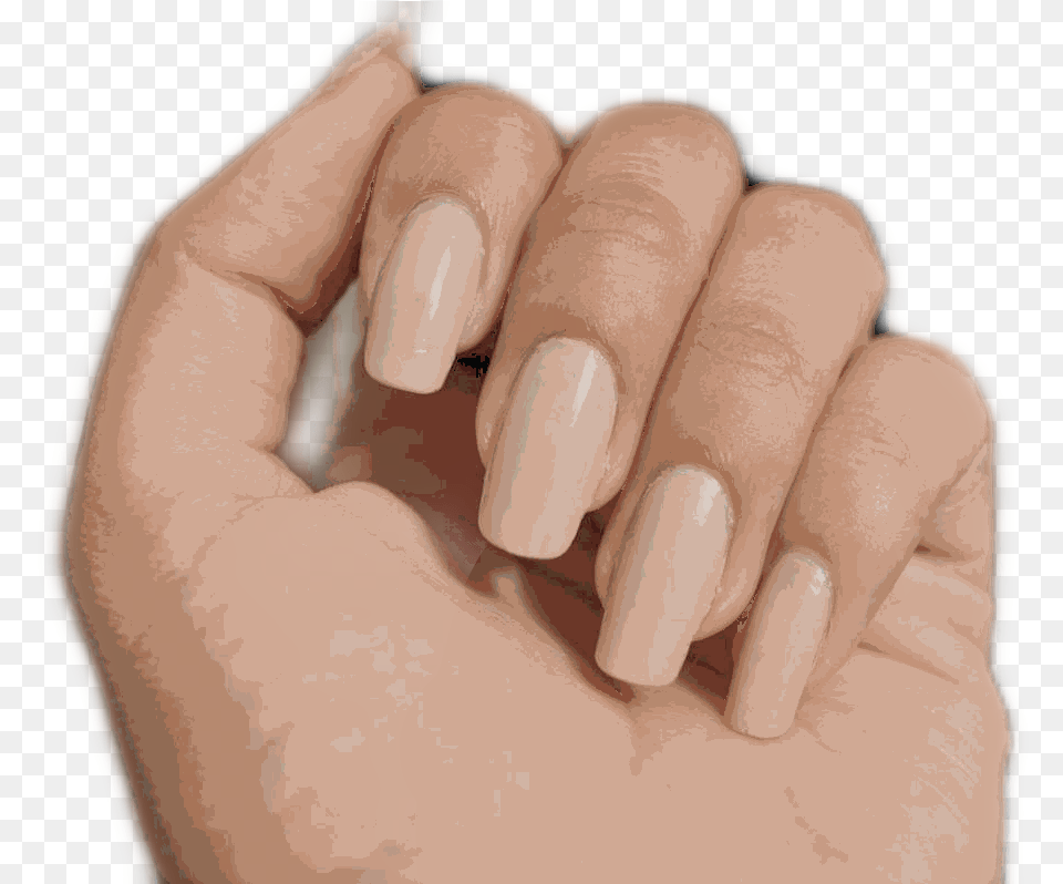 Hand Arm Fist Love Hold Aesthetic Grab Hand With Finger Hold, Body Part, Nail, Person, Baby Free Transparent Png