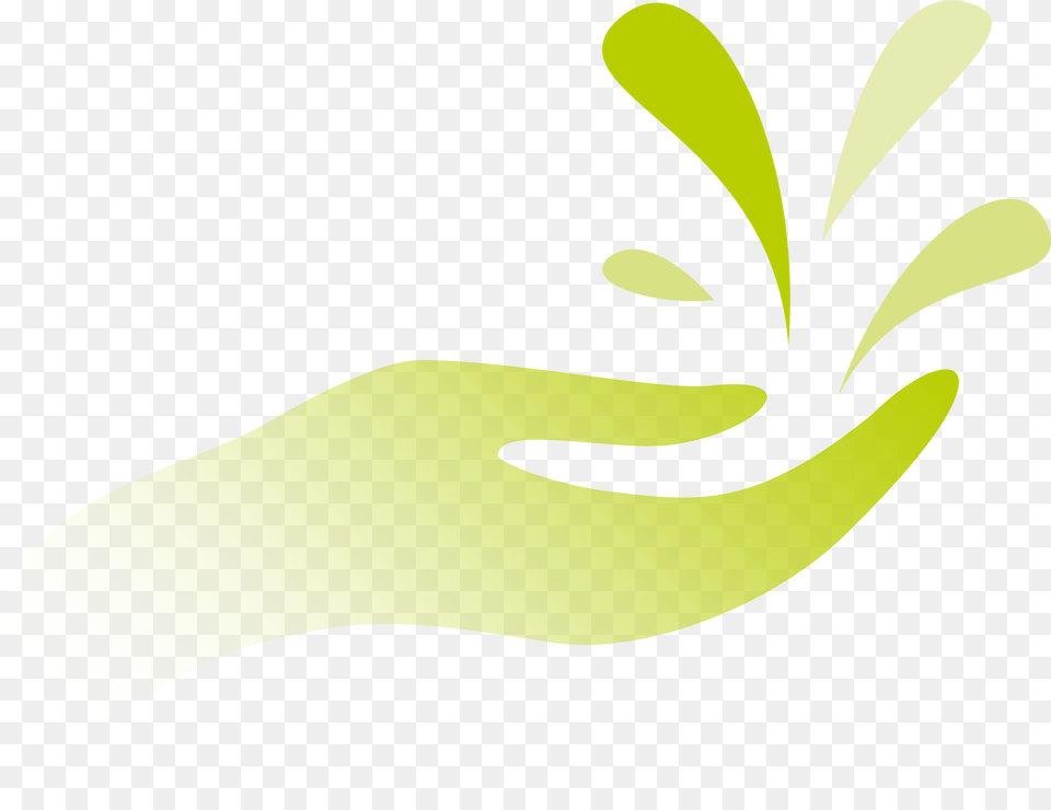 Hand Clipart, Herbs, Herbal, Green, Graphics Png