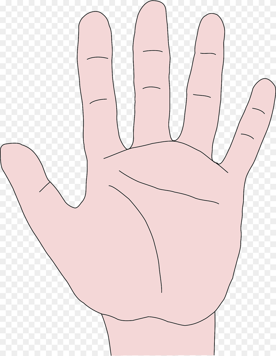 Hand Clipart, Body Part, Clothing, Finger, Glove Free Png Download