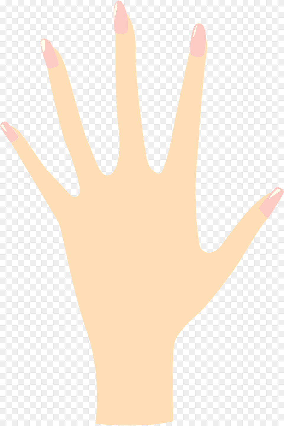 Hand Clipart, Body Part, Finger, Person, Clothing Png
