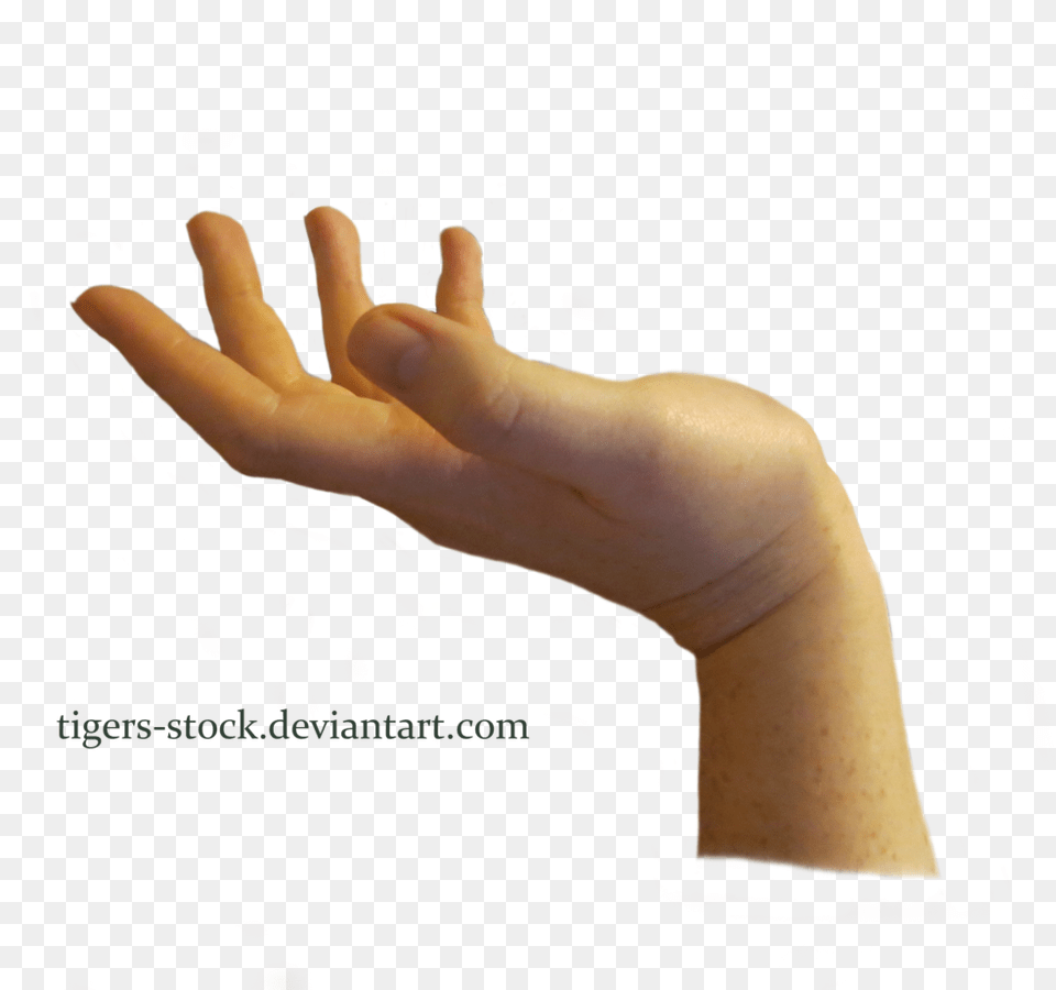 Hand Download Image Statue Hand, Body Part, Finger, Person, Wrist Free Png