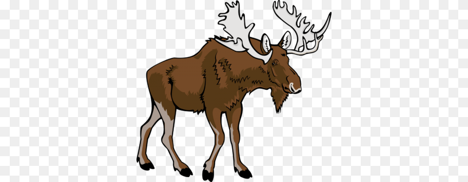 Hand Draw Deer Antlers Clipart Deer Clipart Moose Moose Clipart, Animal, Mammal, Wildlife, Horse Free Png