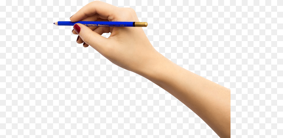 Hand Drawing Girl, Pen, Adult, Female, Person Free Png Download