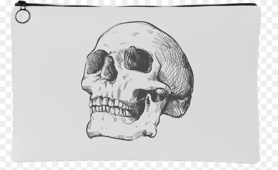 Hand Drawn Anatomical Human Skull, Art, Drawing, Person, White Board Png