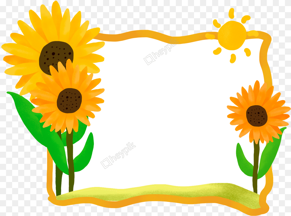 Hand Drawn Botanical Border Sunflower Border Imagem Girassol, Daisy, Flower, Plant Png