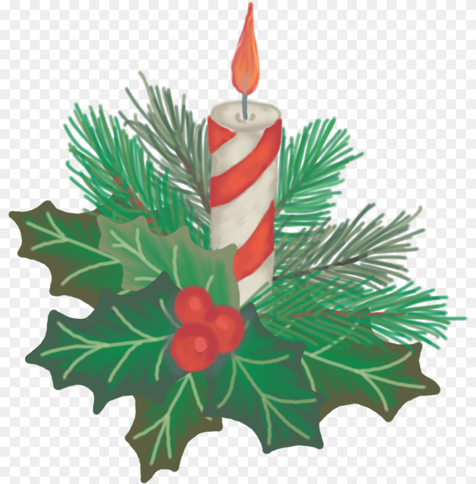 Hand Drawn Christmas Candle With Holly And Pine Drawing Clip Art Free Png Download